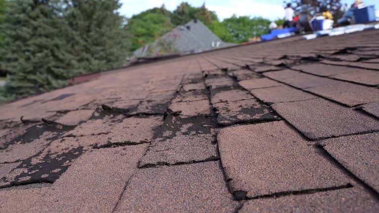 Best Metal Roofing Installation  in Topeka, KS